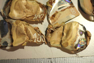 The supposedly melted banknotes. © Mona Billard The supposedly melted banknotes. © Mona Billard